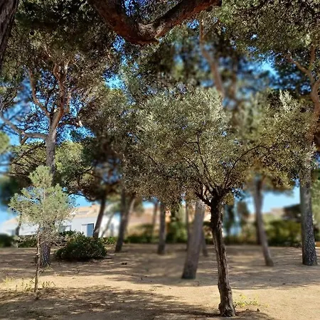 Apartment Roc Mar Llafranc