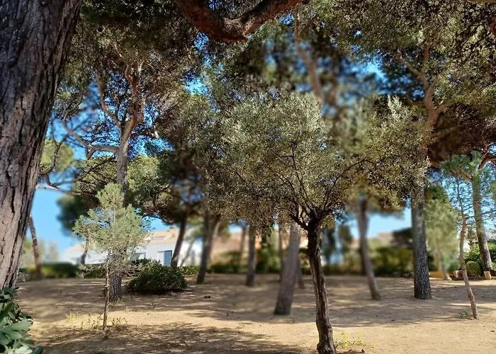 Appartement Roc Mar Llafranc